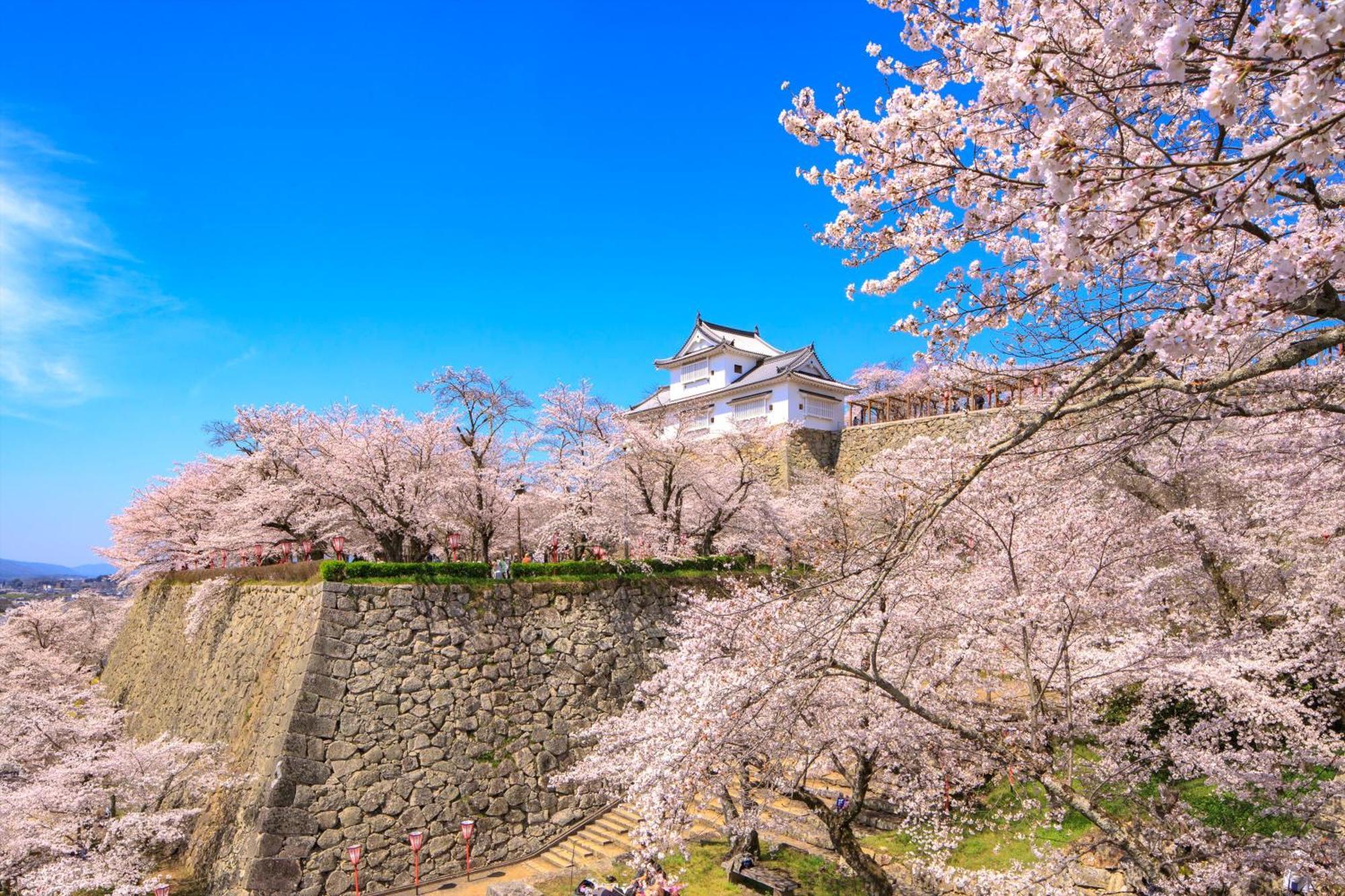 Smile Hotel Okayama Exterior photo